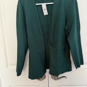 Ann Taylor Deep Green Women's Sweater